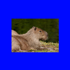 0cdf5aae-9455-4867-a51a-88d1e274b122-image.png