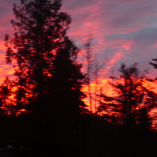 08aa74f2-e7fe-44f3-a91a-fbb4c6b43b2d-image.png