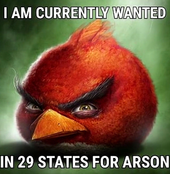 2c1c2936-babc-4ac3-bf71-2d526b4c5a2f-image.png