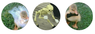 29ffdb20-8d42-4bad-8640-10dd8505ac3d-image.png