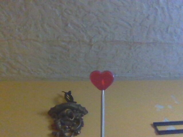 IMG_20230222_160536.jpg