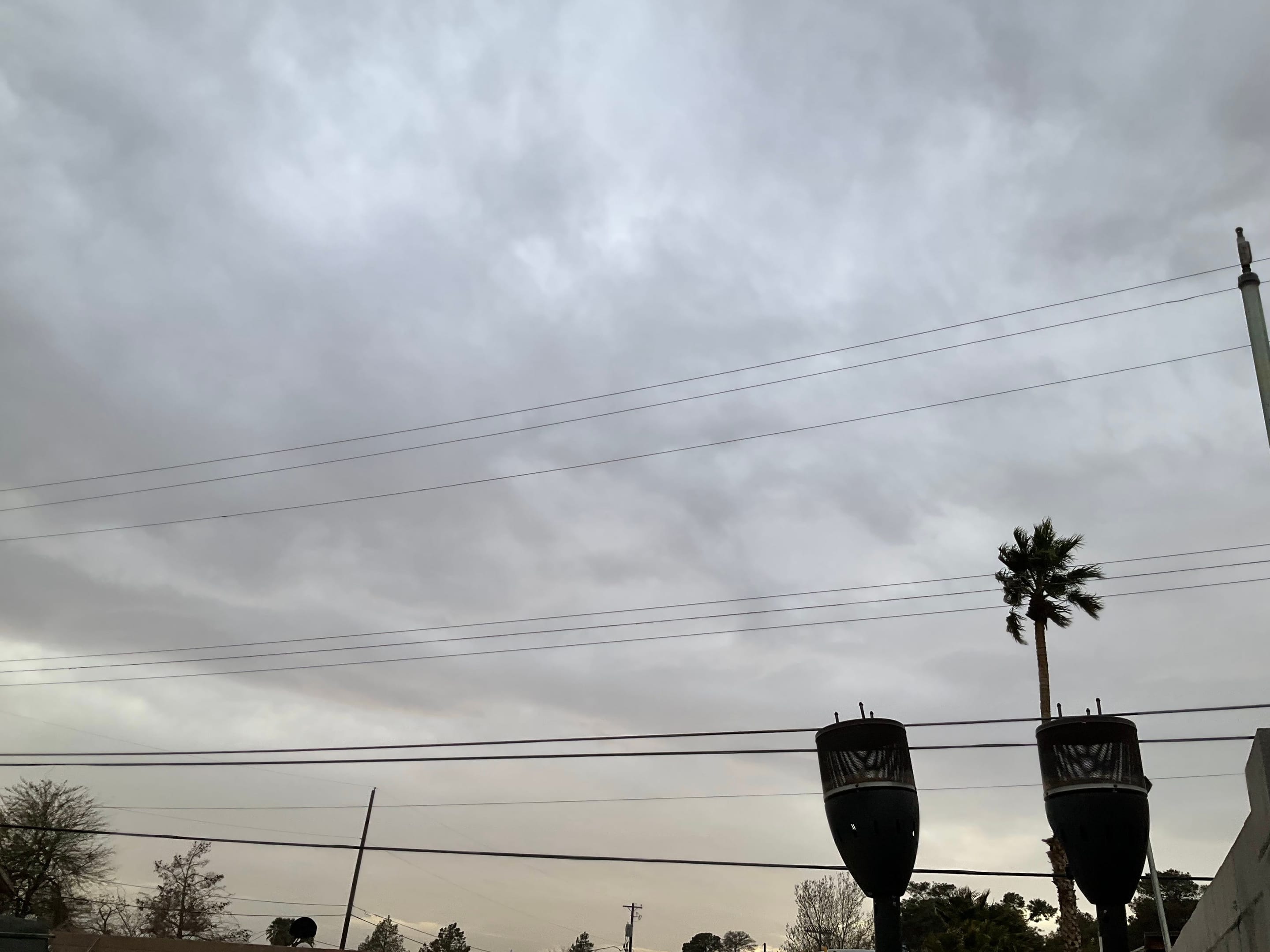 30084B8E-5F17-4013-B535-ABC8CBCD974D.jpeg
