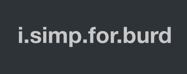632A2691-E1A8-48CF-B497-5ED0D53459ED.jpeg