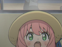 Screenshot 2022-08-03 9.24.54 AM.png