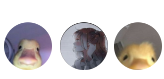 c57eceed-3fa3-4ecc-8c9c-8327fa977a0e-image.png