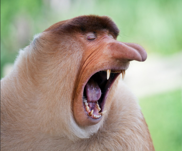 a82c28ab-1765-4317-b215-3b8762ac1485-image.png