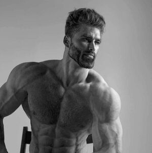 300px-Giga_Chad_(alt).jpg