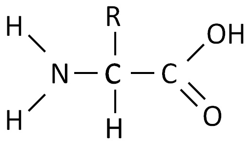 c87212cc-054f-4ad9-b5fa-1cc31a136423-image.png