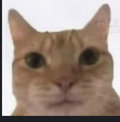 Screenshot 2023-02-27 at 22-16-29 this is bob.png