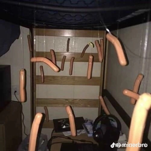d46cb9b1d6f6802d5c0d4e9a9284a4db.png