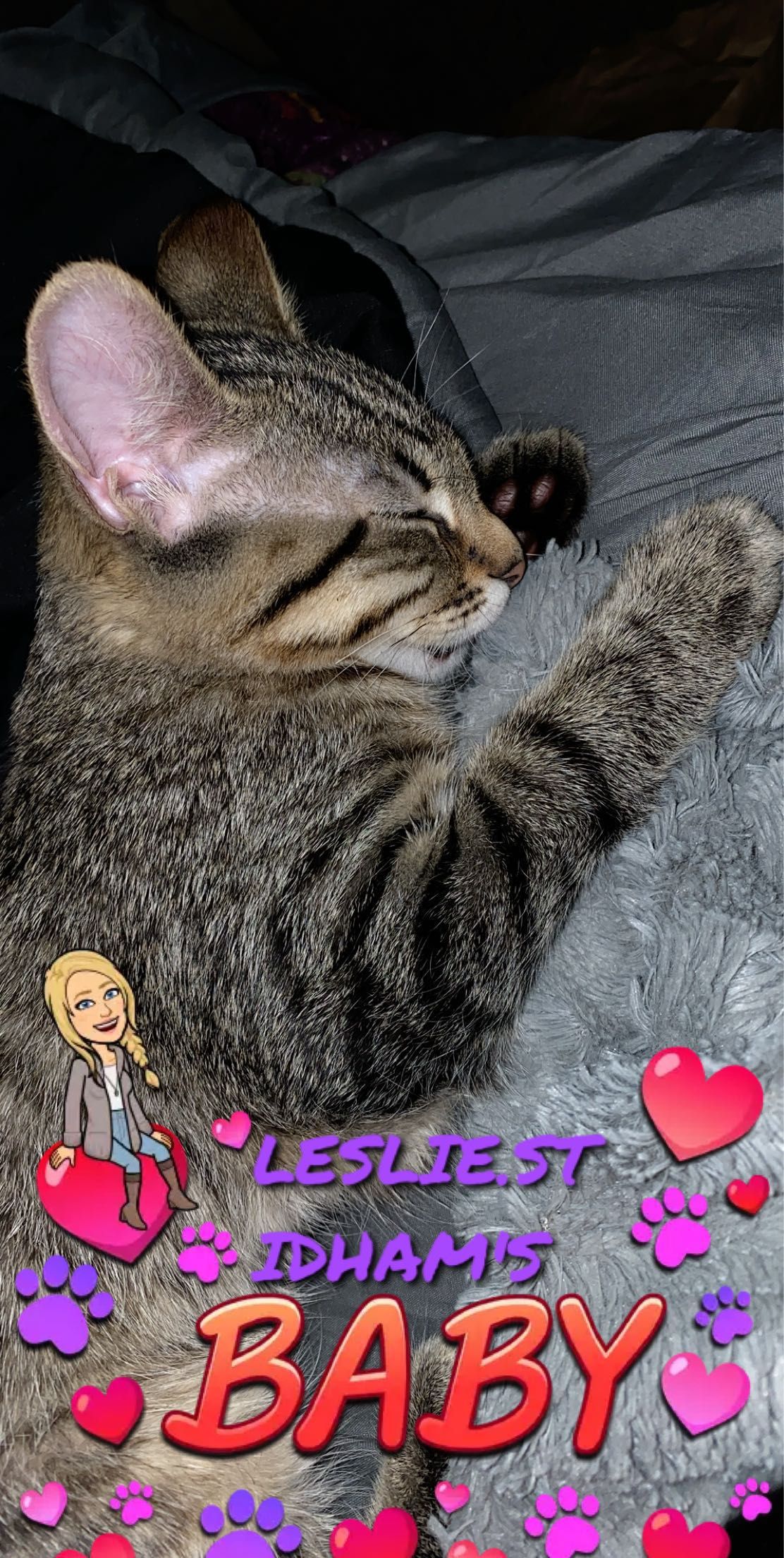 Snapchat-1023528535.jpg