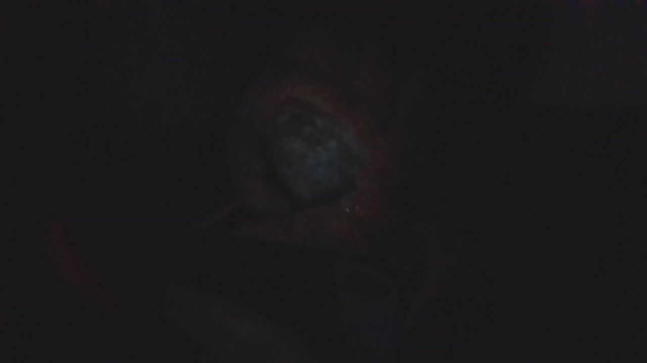 IMG_20230304_231129.jpg