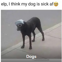 d8e0f097-e6f6-4510-99ee-f888f101130d-image.png