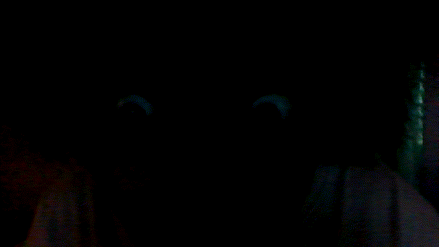 63e38583-ae9e-4819-bb60-2b321fbe59f9-VID_20230309_180818.gif