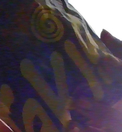 f37513c0-2e7d-45d0-b4b3-57ef005a08a7-image.png