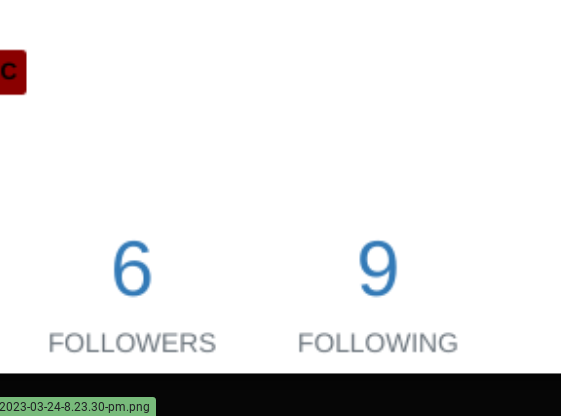 Screenshot 2023-03-25 10.38.45 AM.png