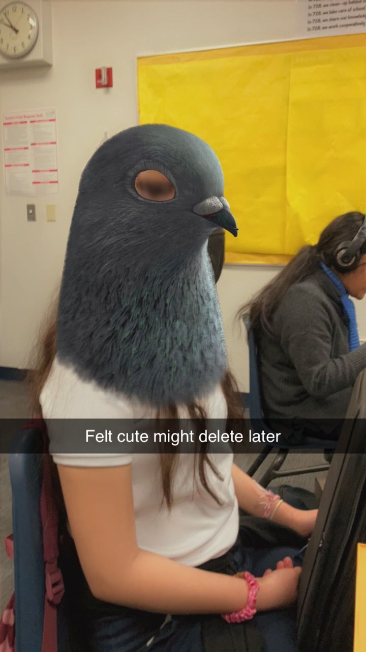 090476B5-0C6B-4400-9EAA-DBA0CF67396C.jpeg