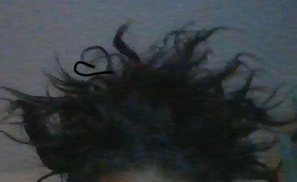 93c251cc-dfe0-42d0-affe-eed3906badcc-image.png