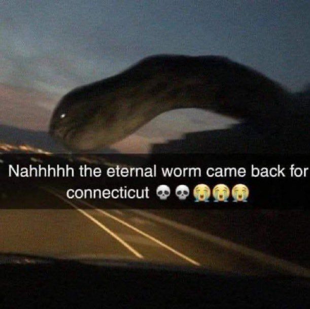 20230329_001255.jpg