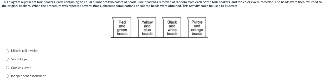 1fb1d044-e7a0-47c7-9692-5c5960e486b7-image.png