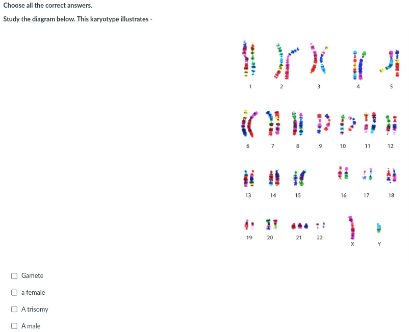1c0be0fc-9bce-48b2-9789-b0444b8040cd-image.png