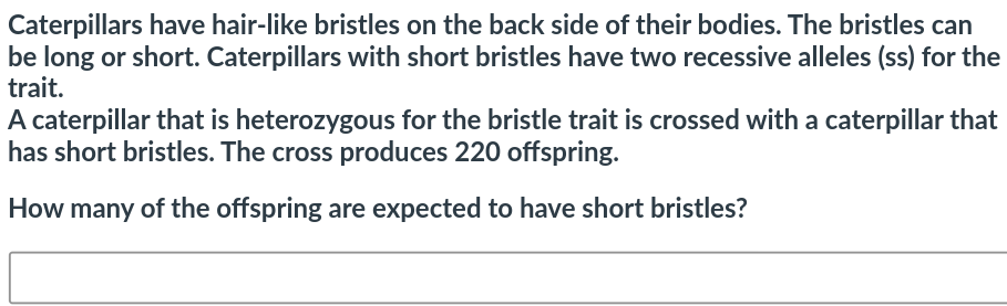 2c0646ae-b70e-4009-a219-dcc3874b6418-image.png
