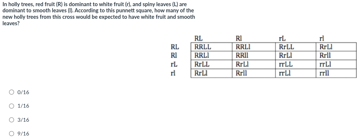 6702e109-c27e-4e1f-9e85-d00dced476a1-image.png