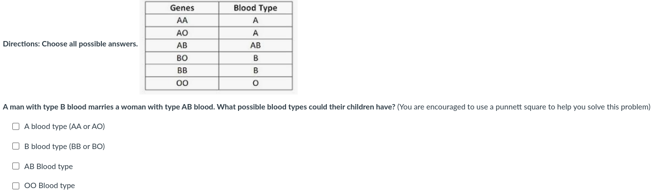 c4c25a60-e552-46c9-aba5-d18f08fd1b2d-image.png