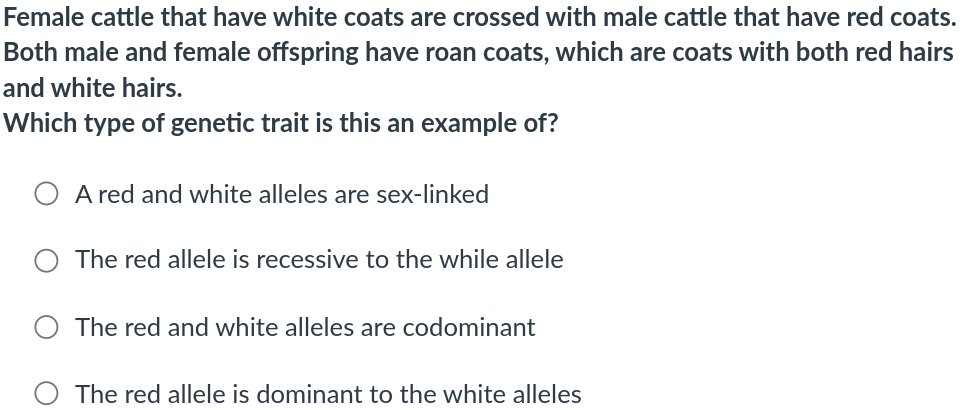 2309100b-0b6a-45bd-b7cf-9375240d3cf2-image.png