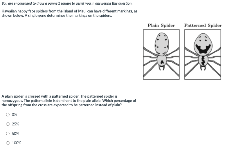 a4a08fde-0e10-4e24-a1f1-d9cbe9c2d6ad-image.png