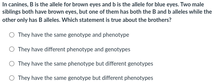 b7b9ca4f-dd55-442c-a9b2-ff9fb7266cc7-image.png