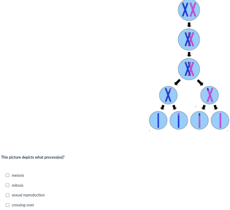 81237adf-7a41-41af-b546-6a75d77e39f5-image.png