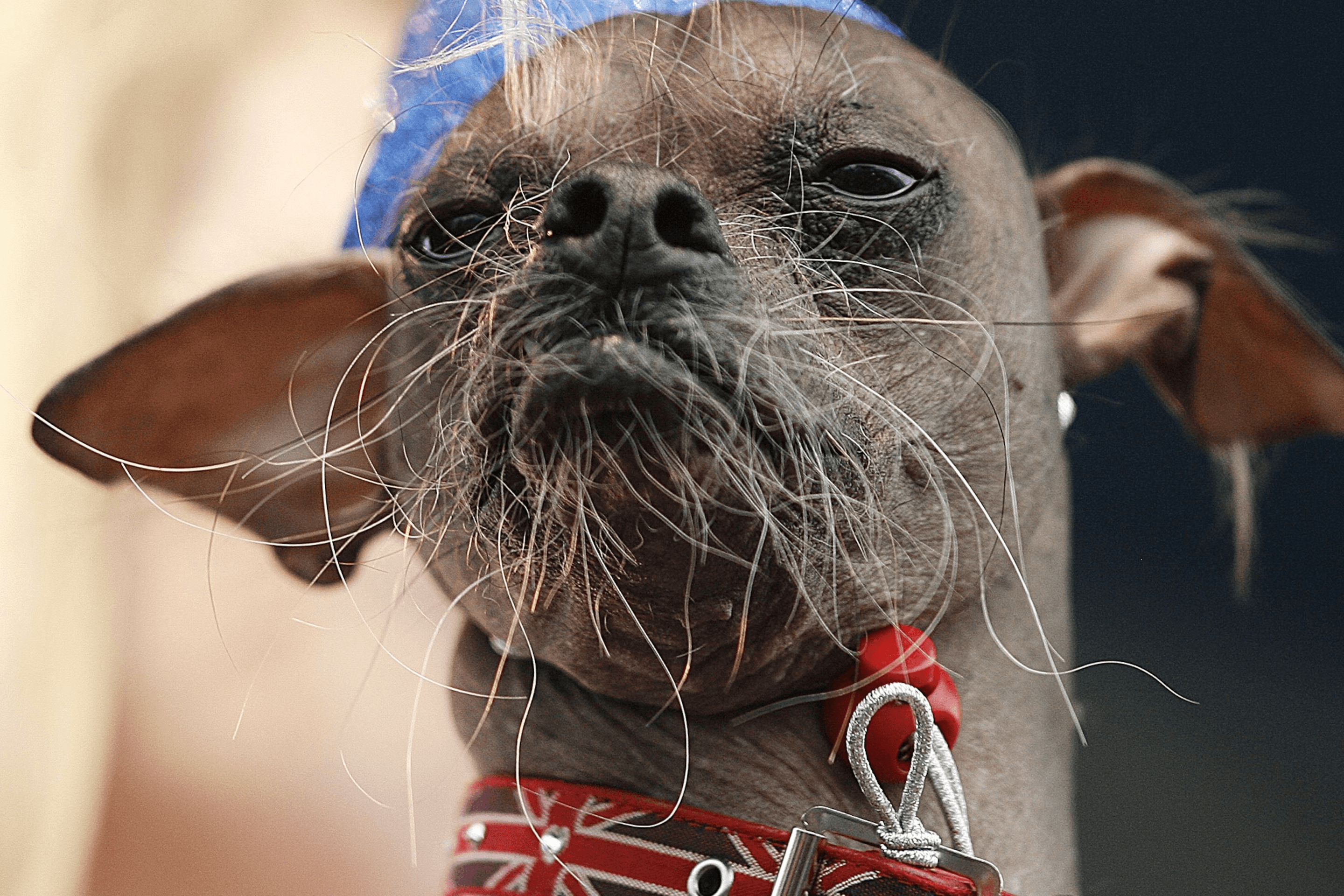 82196960-5293-4346-a70b-a1461093b7de-image.png