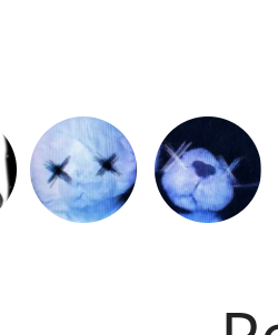 267fba2d-c033-42e6-a93d-0de9d9018242-image.png