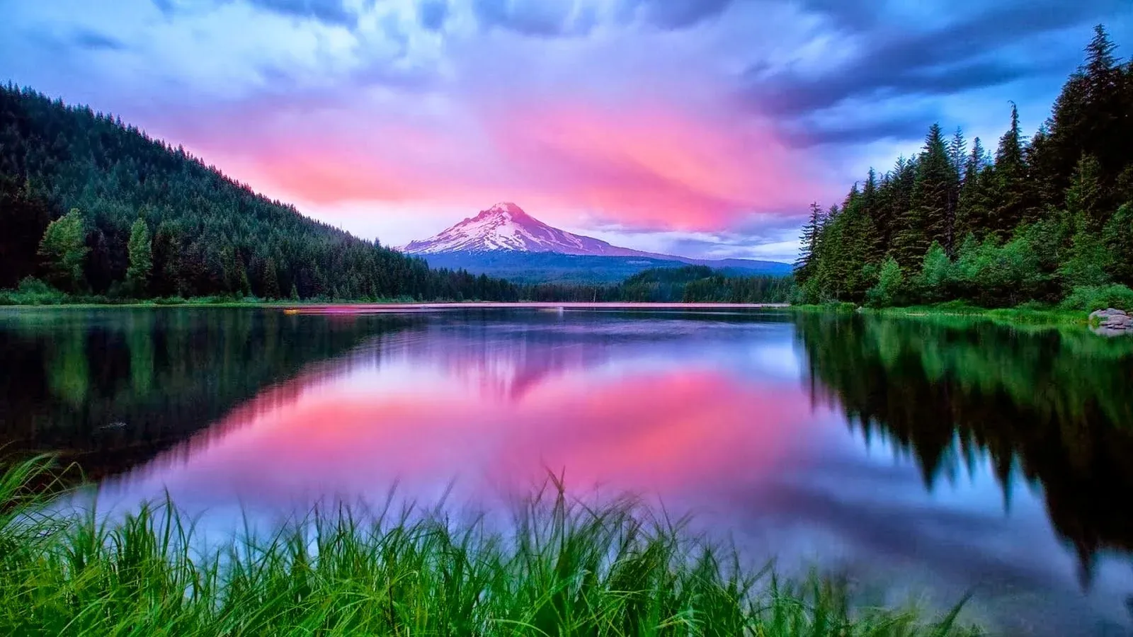 31vYSd.webp
