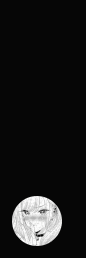 5074078f-0a6a-456b-9276-5e6964311e7b-image.png