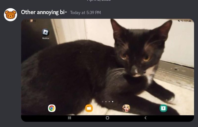 Screenshot_20230402-174014_Discord.jpg
