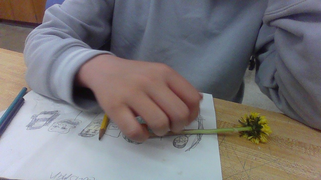 IMG_20230404_113518.jpg