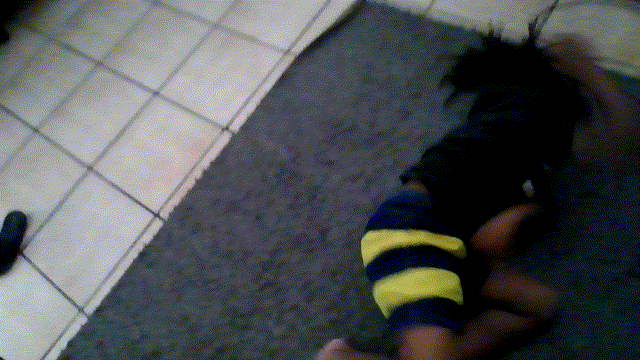 58bf85e6-2128-44ca-956f-c82c3208ab7f-VID_20230404_095322.gif