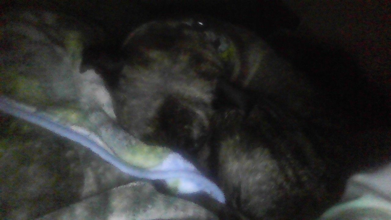 IMG_20220909_062430.jpg