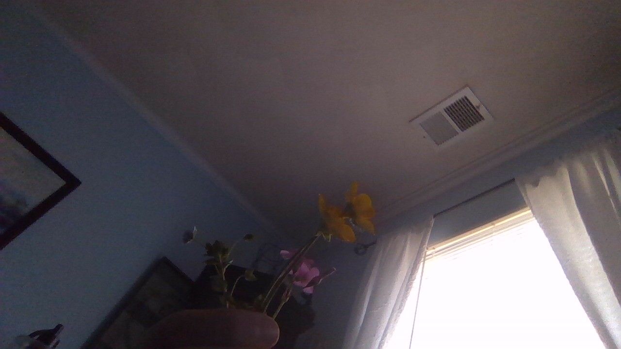 IMG_20230406_101041.jpg