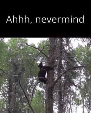 medved_peredumal.gif