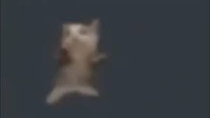 download (3).jpeg