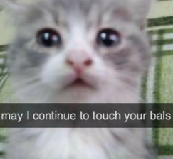 b847ac4c-2638-494f-8325-f9a2f891bddb-image.png