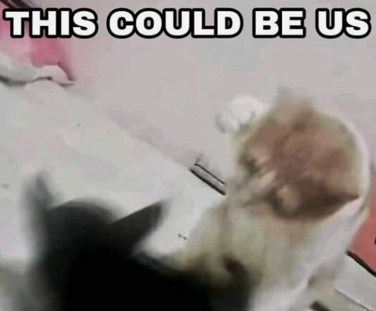 96805ed6-8b02-46f3-809e-c5b1dc22b008-image.png