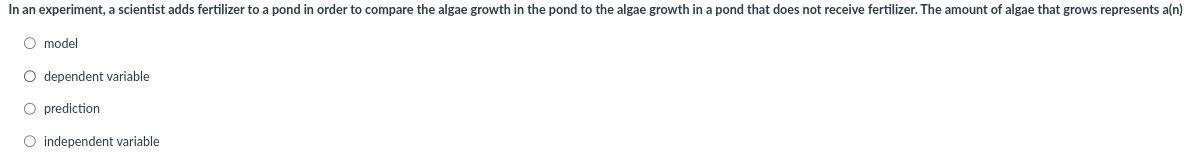 a039e80e-36c2-491f-8832-dec636e82e4a-image.png