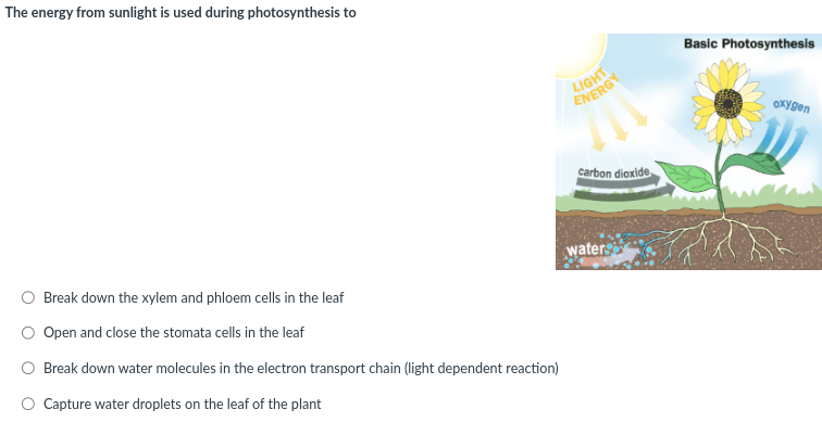 dc002fd8-b349-4033-ae6d-964c8f11b3ec-image.png