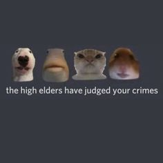 f4419c00-f99d-4148-a63a-32f104bbf6e3-image.png
