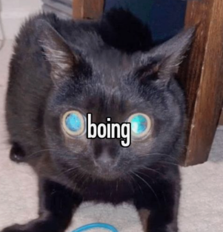 8b4aa0e6-d383-4891-ae6a-db5ac7e09800-image.png