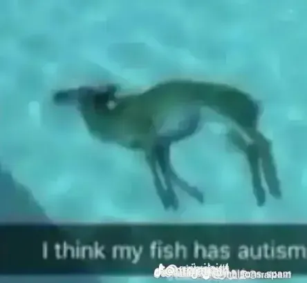 Autisticfish.webp